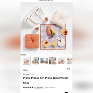 Crate&Barrel Picnic Playset